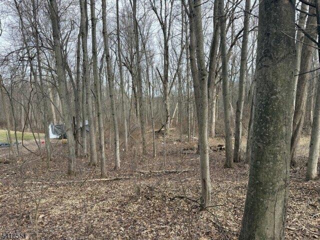 Land for sale in New Jersey