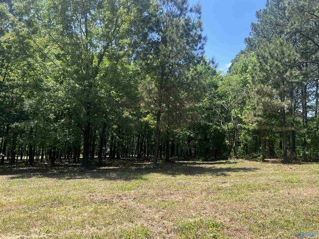 Land for sale in Cedar Bluff, Alabama