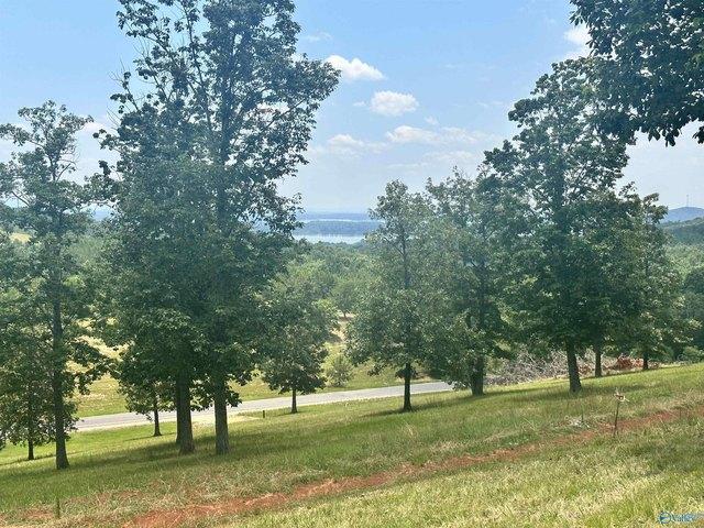 Land for sale in Cedar Bluff, Cherokee County