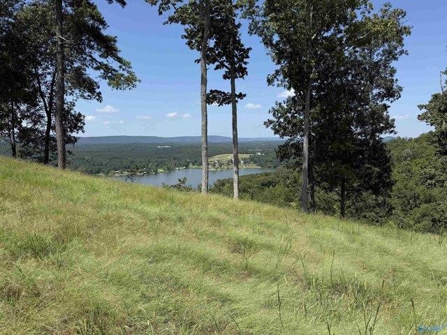 Land for sale in Cedar Bluff, Cherokee County