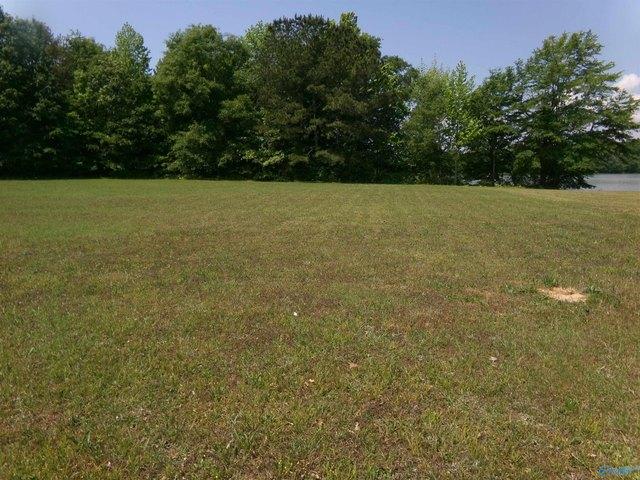 Land for sale in Cedar Bluff, Alabama