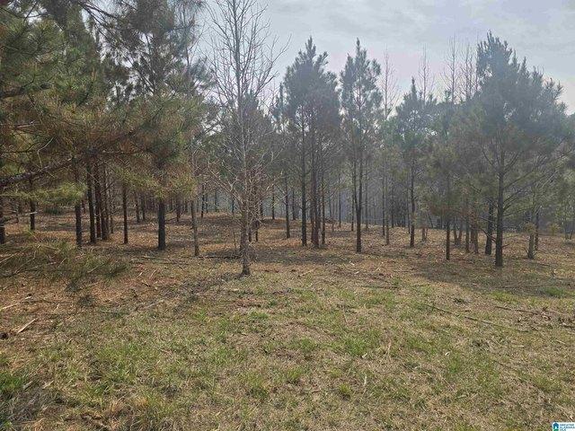 Land for sale in Rockford, Coosa County