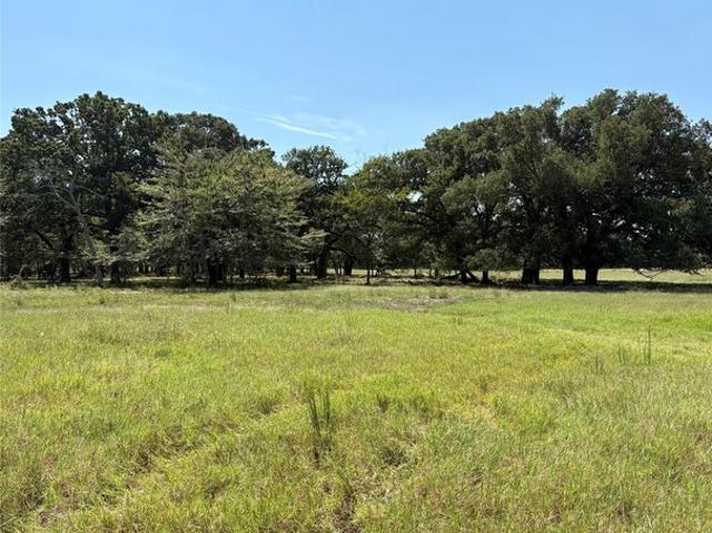 Land for sale in Brashear, Texas