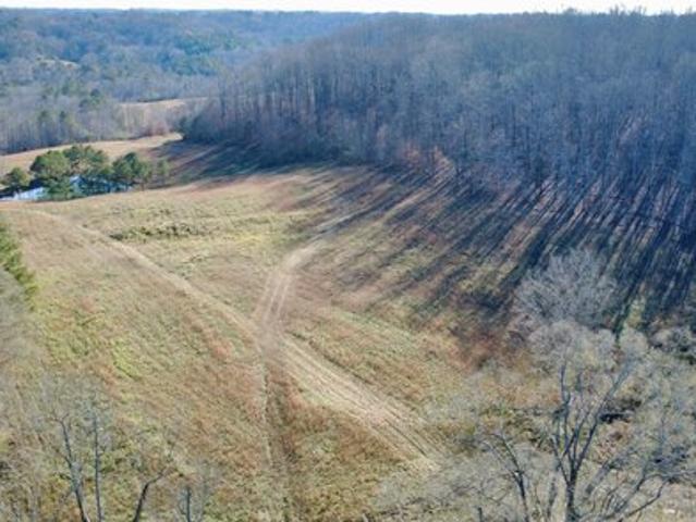 Land for sale in Cullman, Alabama