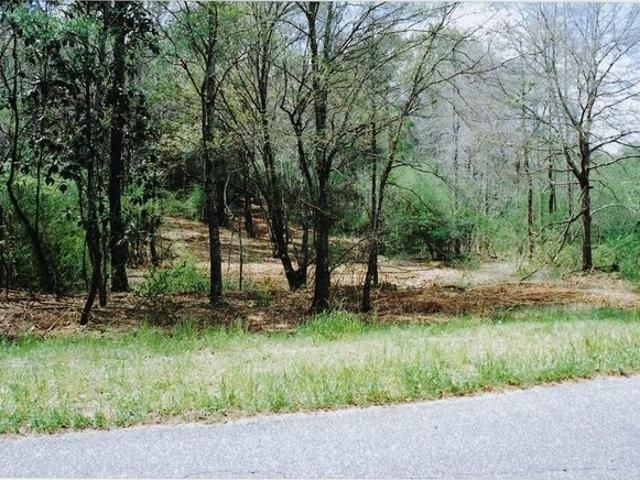Land for sale in Headland, Alabama