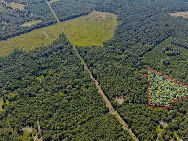 Land for sale in Camp, Texas