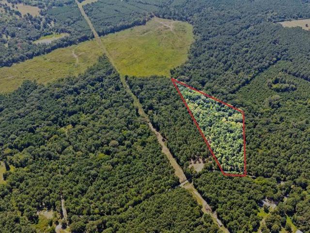Land for sale in Camp, Texas