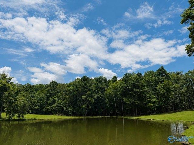 Land for sale in Cedar Bluff, Alabama