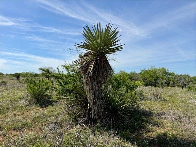 Land for sale in George West, Texas