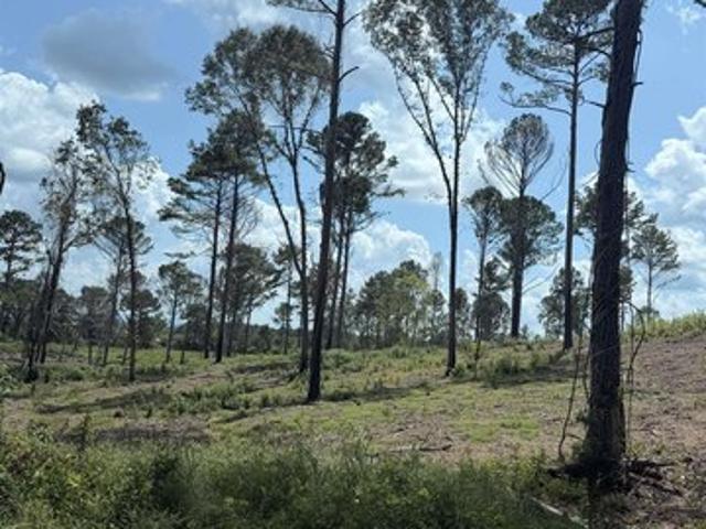 Land for sale in Centre, Alabama