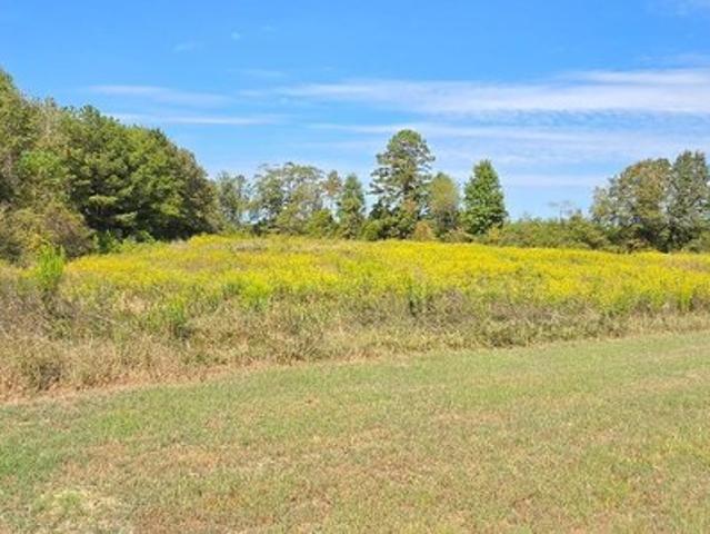 Land for sale in Maplesville, Chilton County