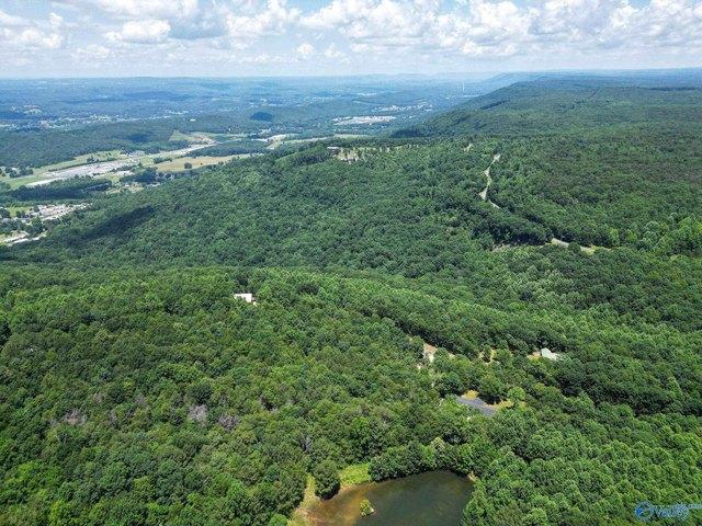 Land for sale in Flat Rock, Alabama