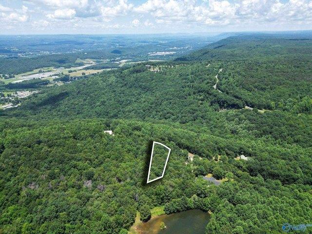 Land for sale in Flat Rock, Alabama