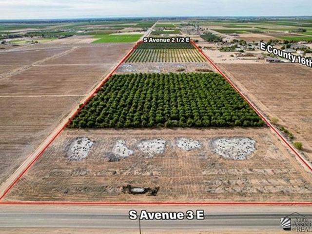 Farm for sale in Yuma, Arizona