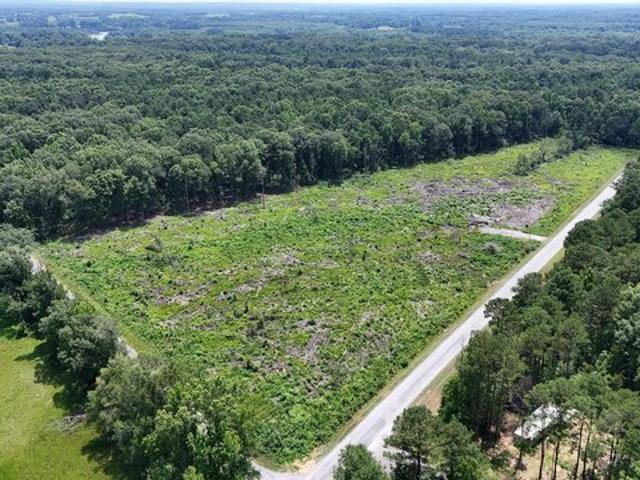 Land for sale in Greensboro, Alabama