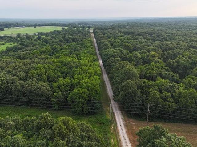 Land for sale in Mount Vernon, Missouri