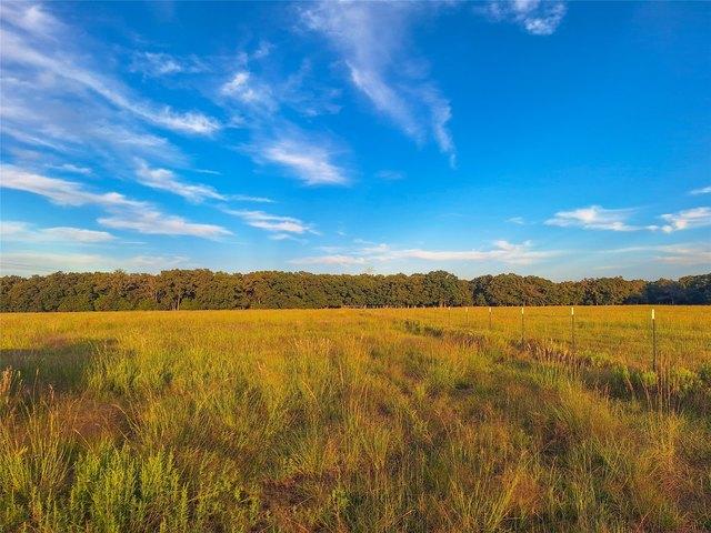 Land for sale in Kemp, Kaufman County
