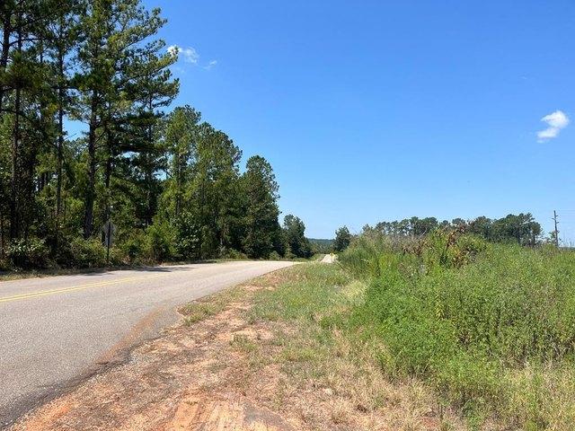 Land for sale in Columbia, Alabama