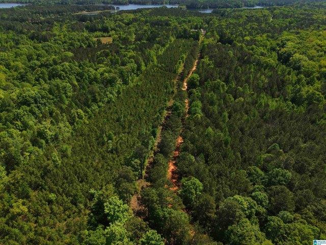 Land for sale in Blount, Alabama