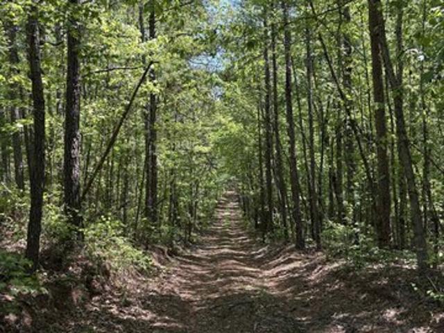 Land for sale in Wadley, Alabama