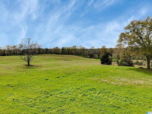 Land for sale in Clanton, Alabama