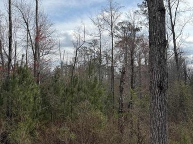 Land for sale in Smiths, Alabama