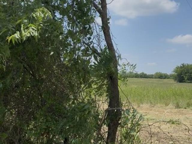 Land for sale in Terrell, Texas