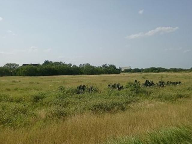 Land for sale in Jourdanton, Texas