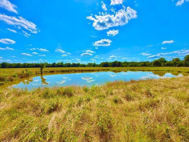Land for sale in Crockett, Texas