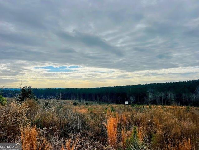 Land for sale in Dale, Alabama