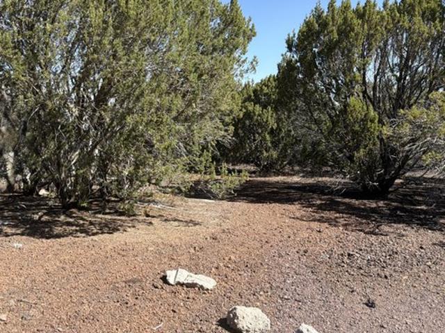 Land for sale in Arizona