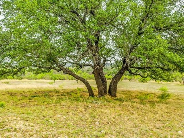 Land for sale in Blanket, Texas