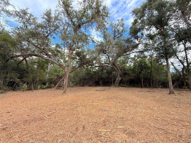 Land for sale in Brazoria, Brazoria County