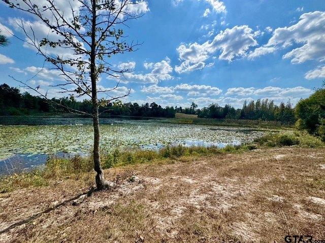 Land for sale in Wood, Texas
