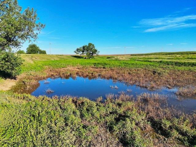 Land for sale in Ovid, Colorado