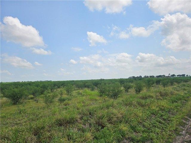 Land for sale in Sandia, Texas