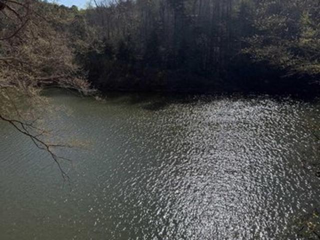 Land for sale in Arley, Alabama