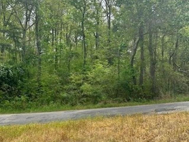 Land for sale in Arley, Alabama