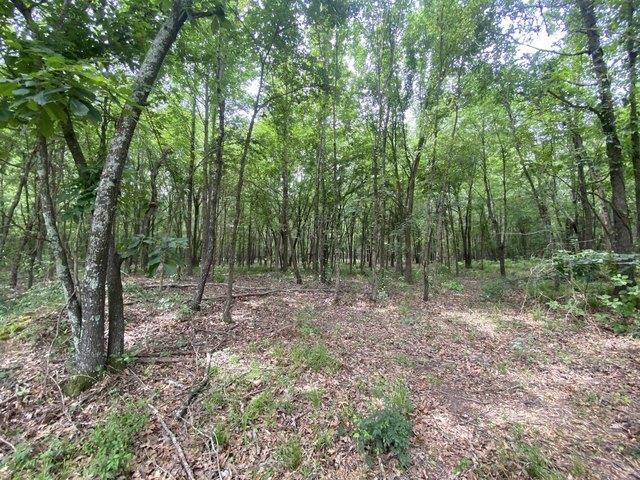 Land for sale in Titus, Texas
