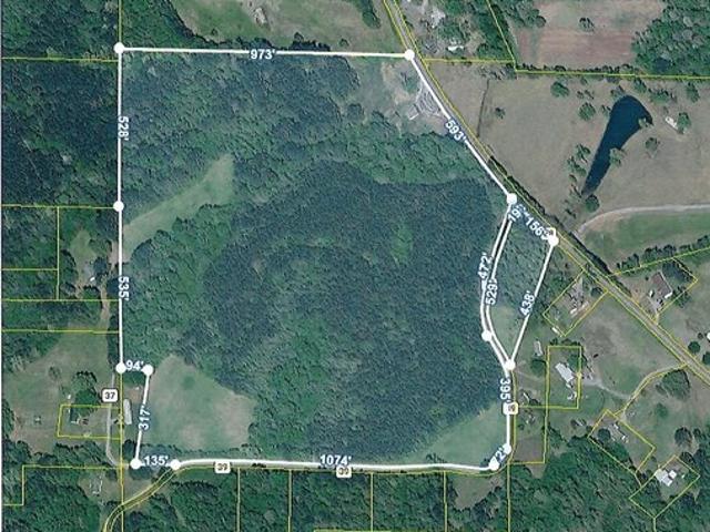 Land for sale in Hanceville, Alabama