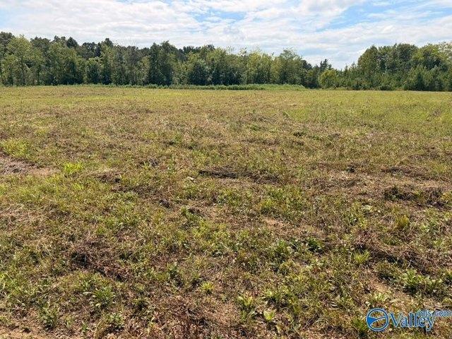 Land for sale in Piedmont, Alabama