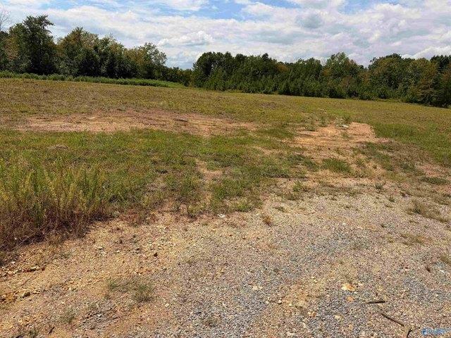 Land for sale in Piedmont, Alabama