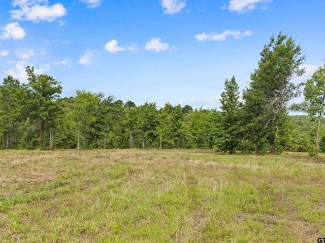 Land for sale in Smith, Texas