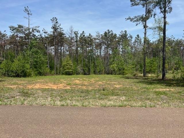Land for sale in Oxford, Mississippi