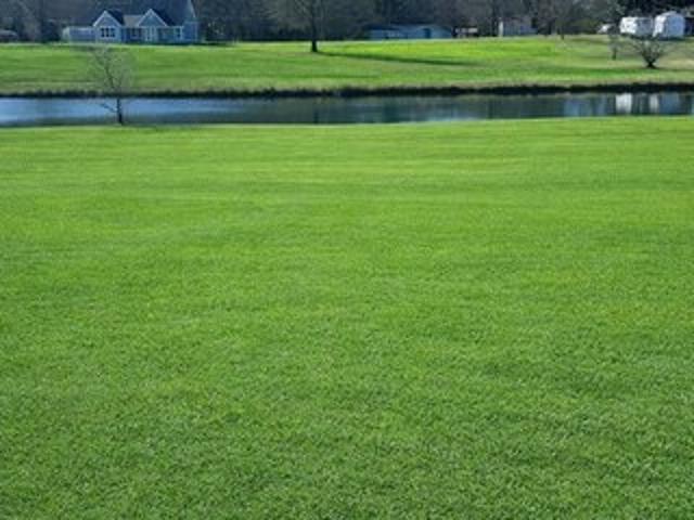 Land for sale in Clanton, Alabama