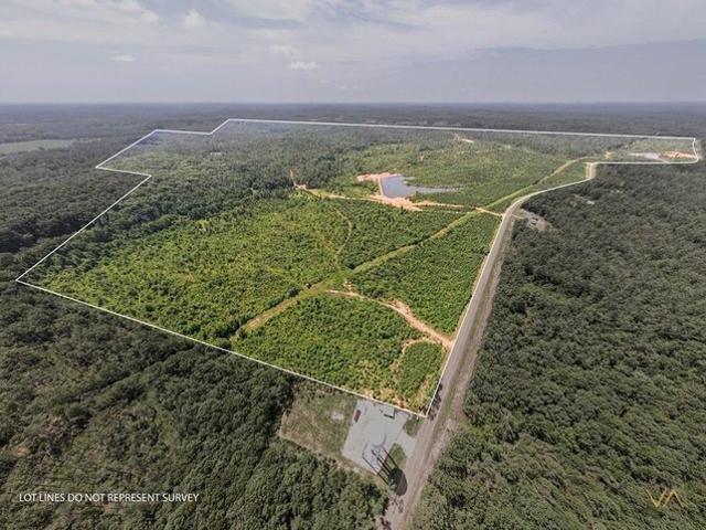 Land for sale in Oxford, Mississippi