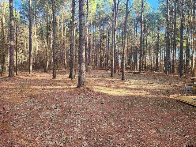 Land for sale in Camp, Texas