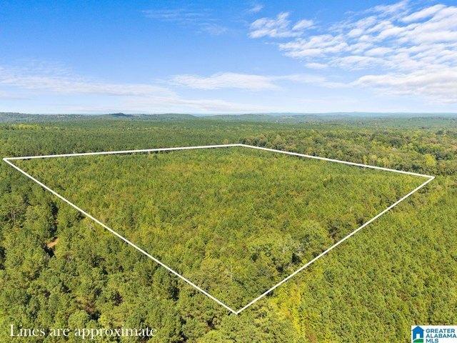 Land for sale in Clanton, Chilton County