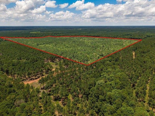 Land for sale in Texas