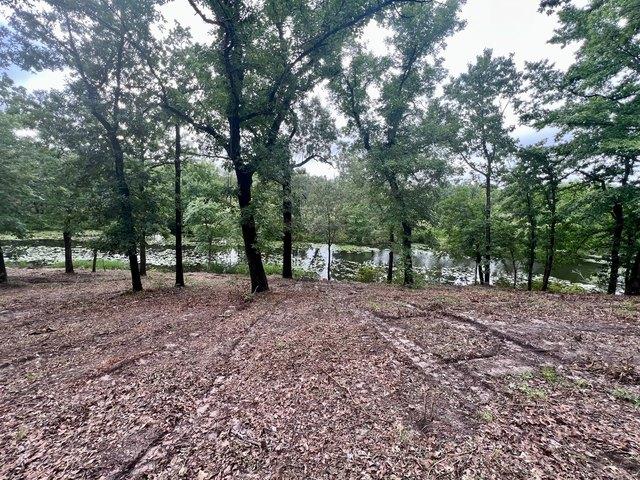 Land for sale in Henderson, Texas